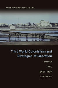 Bokomslag for "Third World Colonialism and Strategies of Liberation"