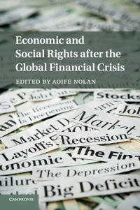 Bokomslag för "Economic and Social Rights after the Global Financial Crisis"