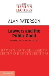 Lawyers and the Public Good