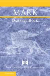 Kirjan kansi "Mark"