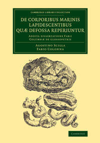 De corporibus marinis lapidescentibus quæ defossa reperiuntur