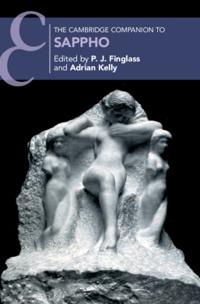 Cambridge Companions to Literature