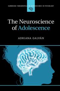 Cambridge Fundamentals of Neuroscience in Psychology