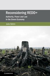 Cambridge Studies on Environment, Energy and Natural Resources Governance