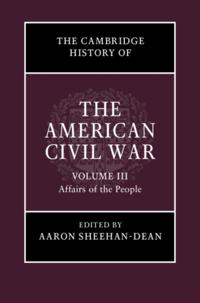 Cambridge History of the American Civil War: Volume 3, Affairs of the People