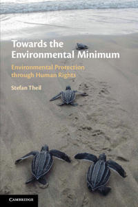 Towards the Environmental Minimum