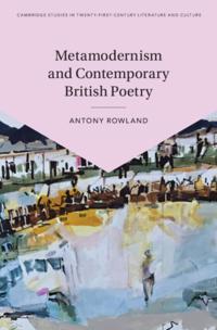 Cambridge Studies in Twenty-First-Century Literature and Culture