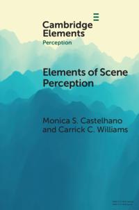 Elements in Perception
