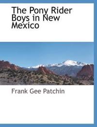 Kirjan kansi "The Pony Rider Boys in New Mexico"