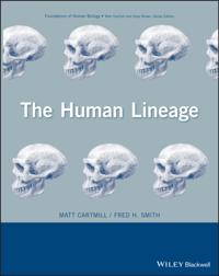 Human Lineage