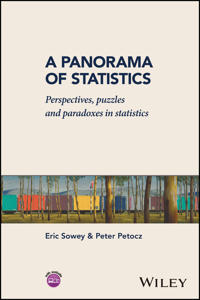 A Panorama of Statistics – Perspectives, Puzzles and Paradoxes in Statistics