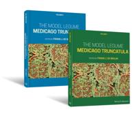 Model Legume Medicago truncatula