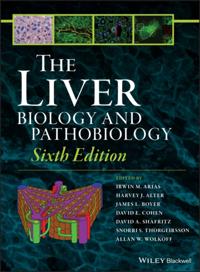 Liver