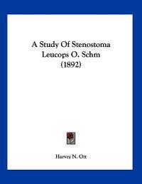 A Study of Stenostoma Leucops O. Schm