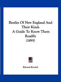 Beetles Of New England And Their Kind