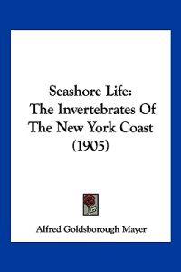 Seashore Life
