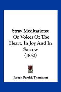 Stray Meditations