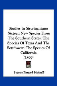Studies In Sisyrinchium