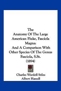 The Anatomy Of The Large American Fluke, Fasciola Magna