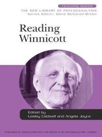New Library of Psychoanalysis Teaching Series