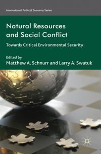 International Political Economy Series