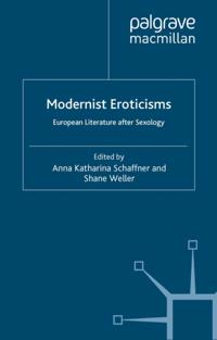 Palgrave Studies in Modern European Literature