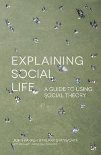 Explaining Social Life