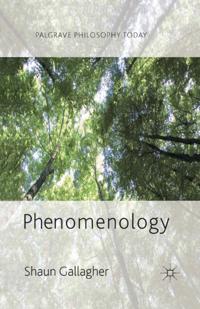 Palgrave Philosophy Today