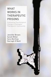 Palgrave Social Sciences Collection