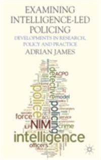 Palgrave Social Sciences Collection