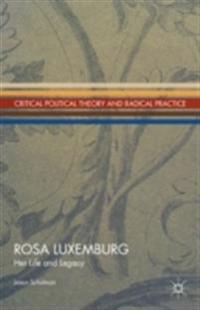 Critical Political Theory and Radical Practice