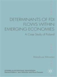 Determinants of FDI Flows within Emerging Economies