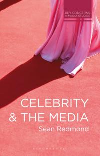Key Concerns in Media Studies