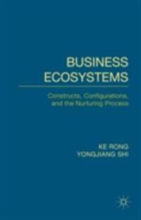 Palgrave Business & Management Collection