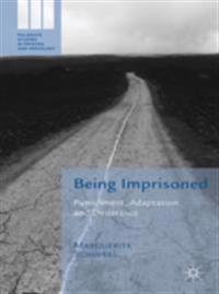 Palgrave Studies in Prisons and Penology