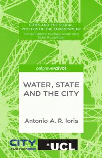 Cities and the Global Politics of the Environment