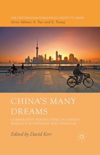 The Nottingham China Policy Institute Series