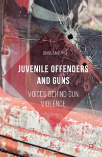 Palgrave Social Sciences Collection