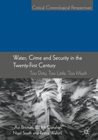 Critical Criminological Perspectives