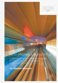 Palgrave Studies in Risk, Crime and Society