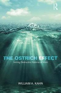 The Ostrich Effect