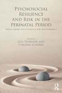 Kirjan kansi "Psychosocial Resilience and Risk in the Perinatal Period"