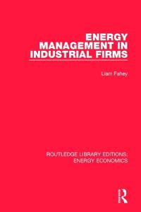Kirjan kansi "Energy Management in Industrial Firms"