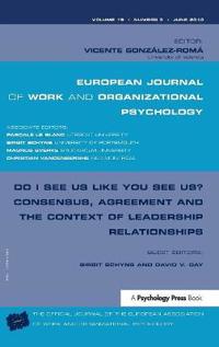 Do I See Us Like You See Us? Consensus, Agreement, and the Context of Leadership Relationships