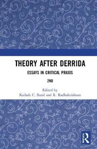 Bokomslag för "Theory after Derrida"