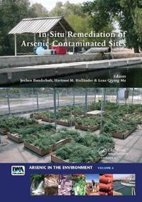 Kirjan kansi "In-Situ Remediation of Arsenic-Contaminated Sites"
