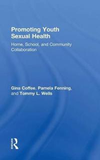 Promoting Youth Sexual Health