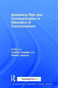 Kirjan kansi "Assessing Pain and Communication in Disorders of Consciousness"
