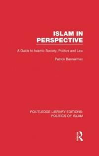 Islam in Perspective (RLE Politics of Islam)