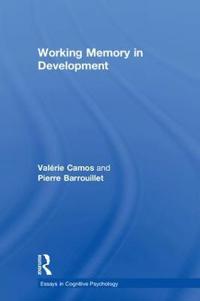 Working Memory in Development